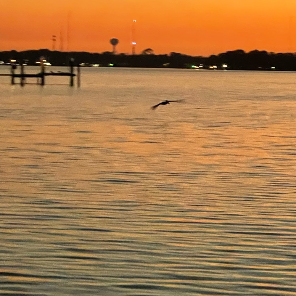 Meet your Posher, Sonia